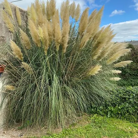 Du Bois Pennier, Au Calme , A 15 Km Des Plages Du Debarquement Picauville