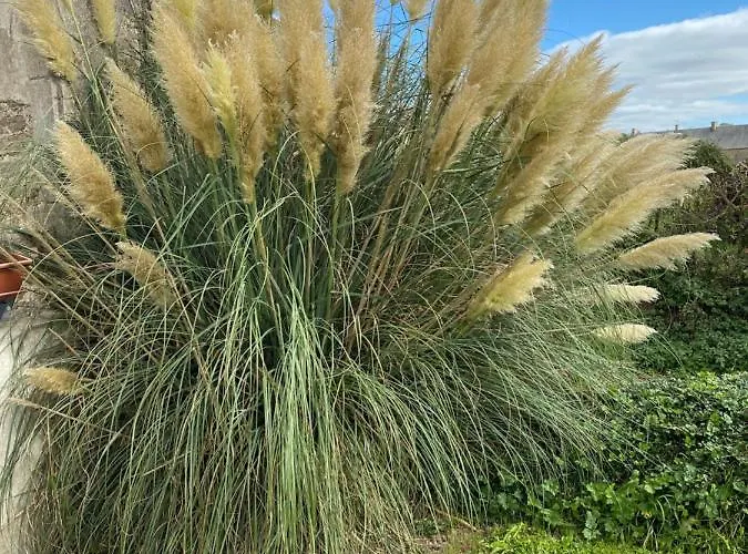 Du Bois Pennier, Au Calme , A 15 Km Des Plages Du Debarquement Picauville